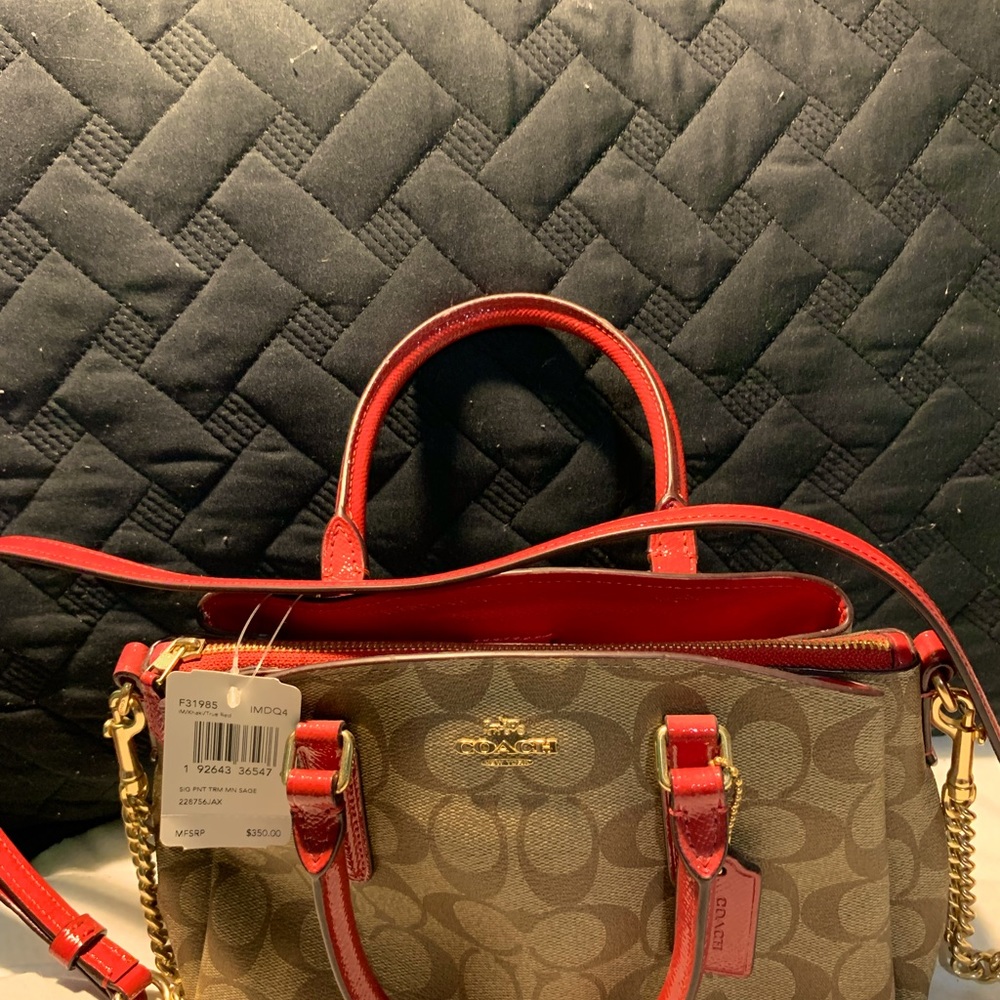 COACH MINI SAGE CARRYALL